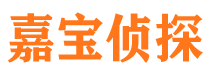 汉阳市侦探调查公司